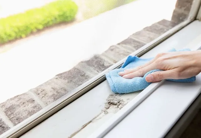 Track & sill cleaning service guide